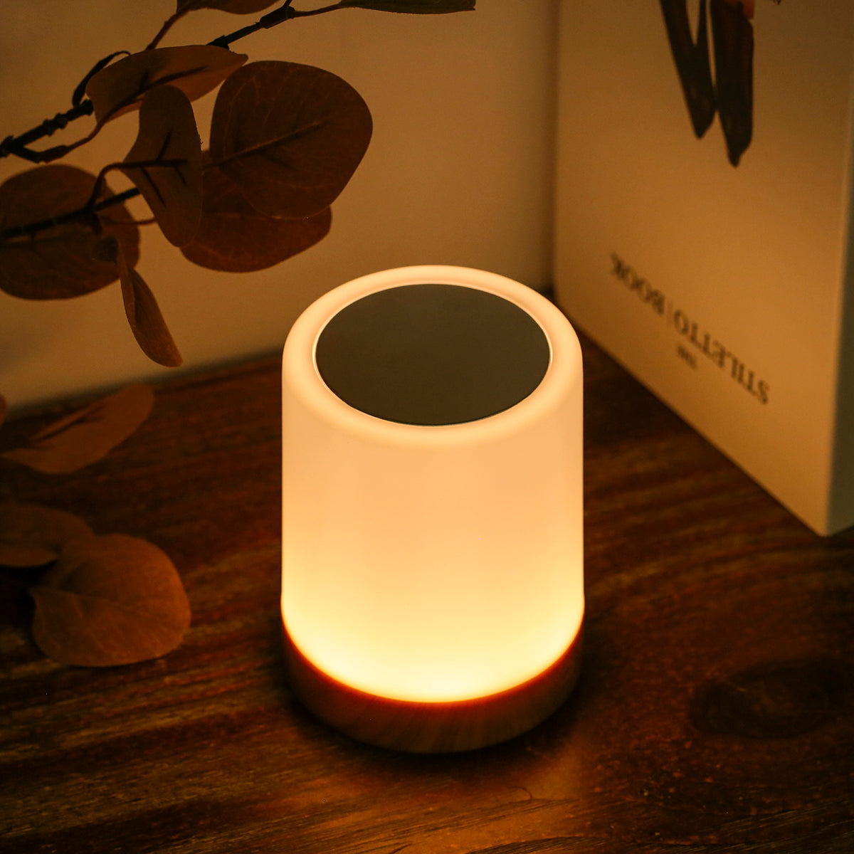 TouchTech Bedside Light